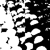 example picture for apply_filter()