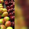 example picture for apply_filter()
