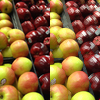 example picture for apply_filter()