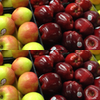 example picture for load_np_pixels()