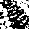 example picture for apply_filter()
