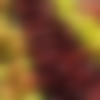 example picture for apply_filter()