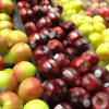example picture for apply_filter()
