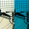 example picture for tint()