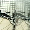 example picture for tint()